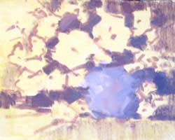 Still Life Step 2